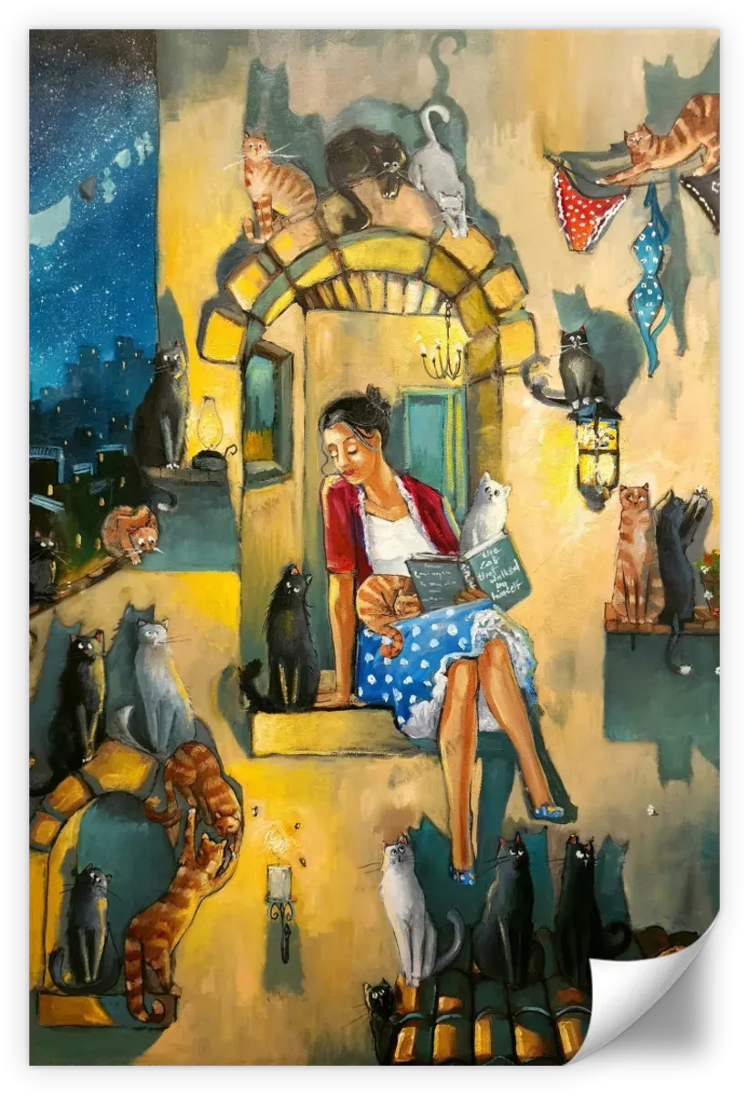 A Crazy Cat Lady Wall Art
