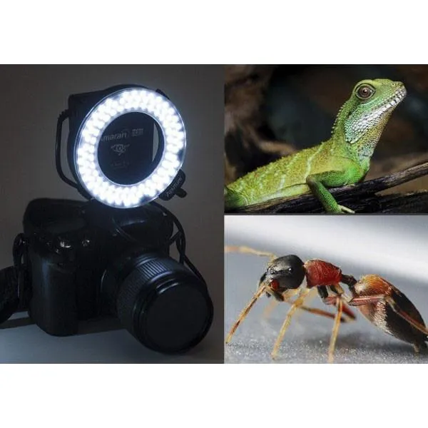 Aputure Amaran Halo AHL-HC100 Canon LED Macro Ring Flash Light