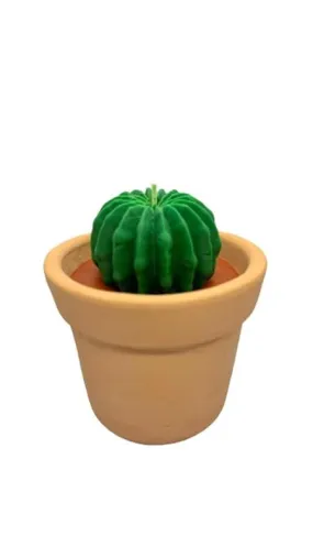 Cozy Corner Terracotta Pots Holder, Succulent Baby Shower Favors Decorations, Delicate Decorative Candles Valentine's Day Birthday House-Warming Party Spa Home Decorates Pack of 1
