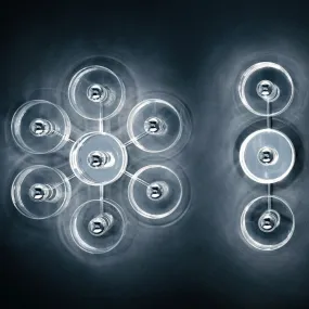 Fiore Wall and Ceilling Lamp