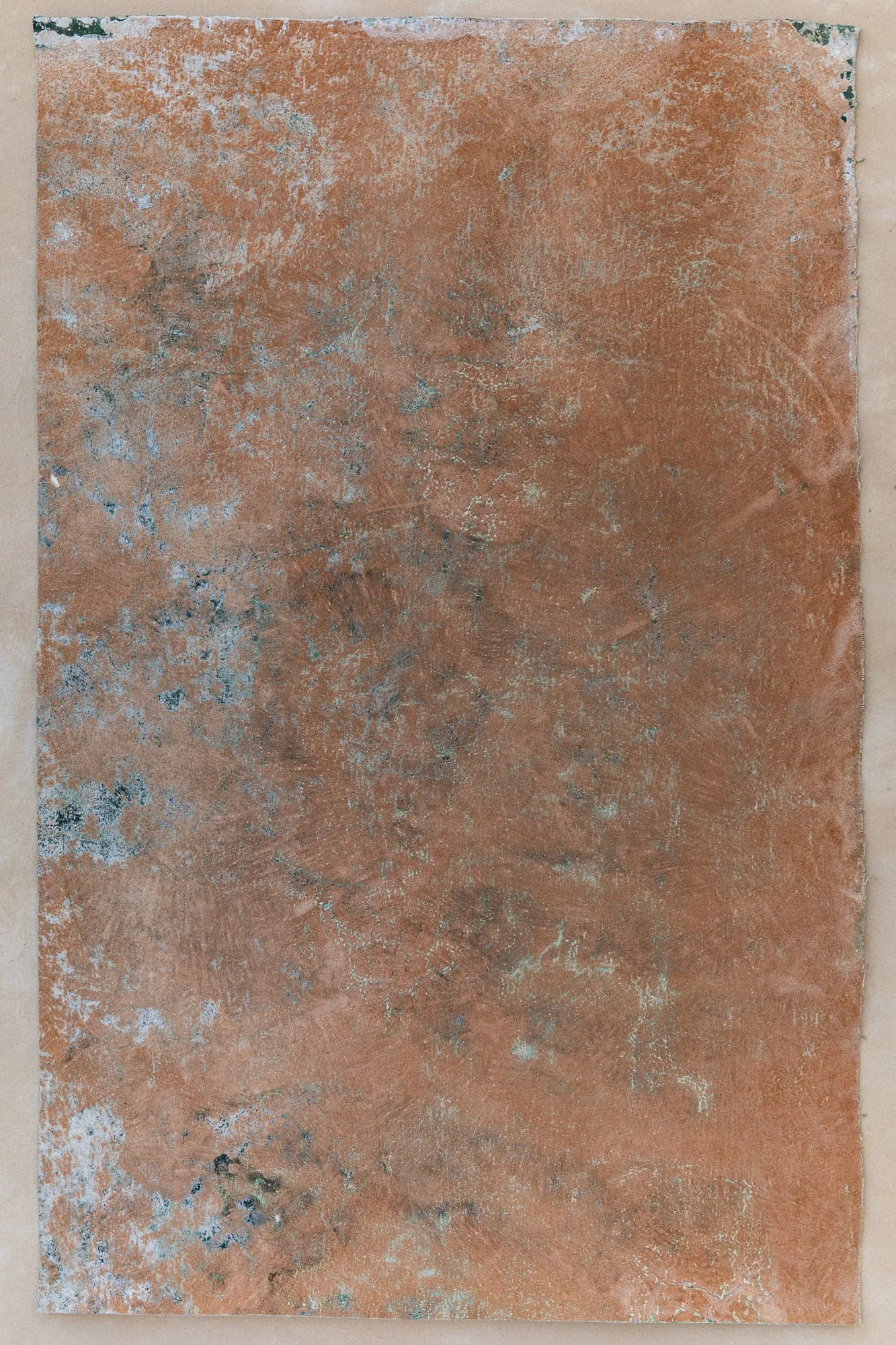 Fossil Found #0465 Sandstone Study Hand-Painted Flatlay Surface