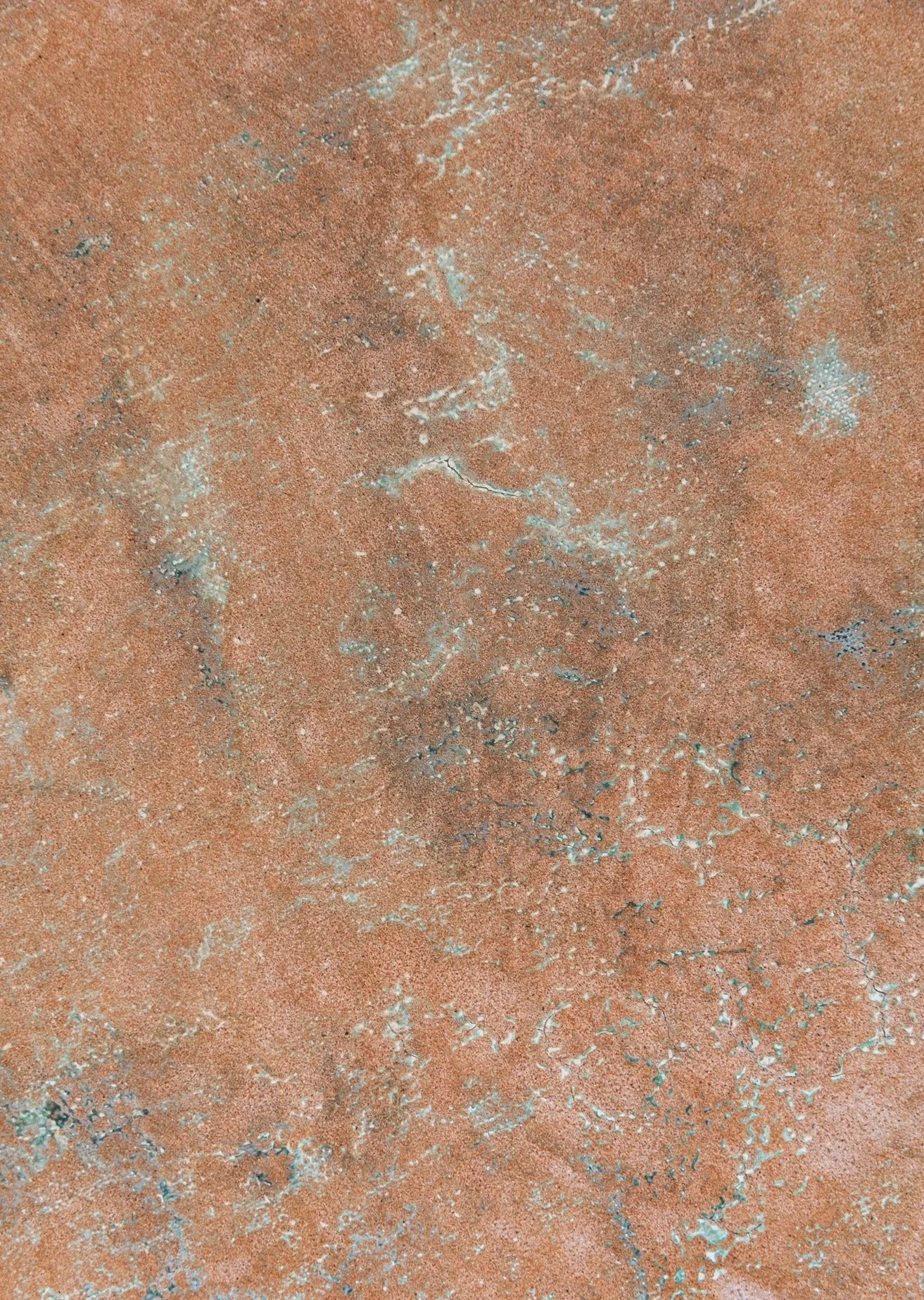 Fossil Found #0465 Sandstone Study Hand-Painted Flatlay Surface