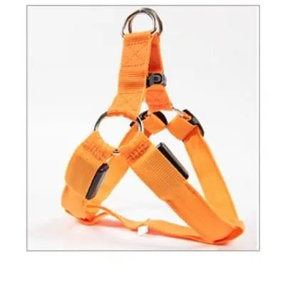 LED Glow in the Dark Harness (No-Pull)