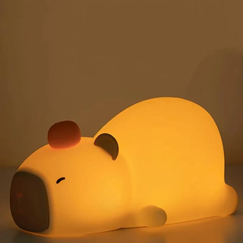 LED Night Light