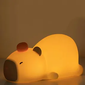 LED Night Light