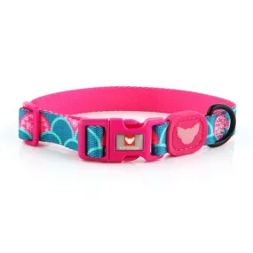 Sunshine Glow Dog Collar | "You are my Sunshine" Collection