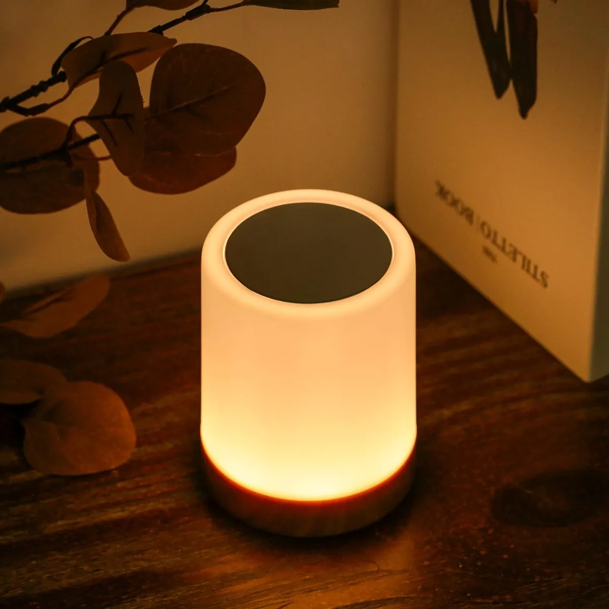 USB Rechargeable Touching Control Bedside Light Dimmable Table Lamp Warm White & RGB Night Light