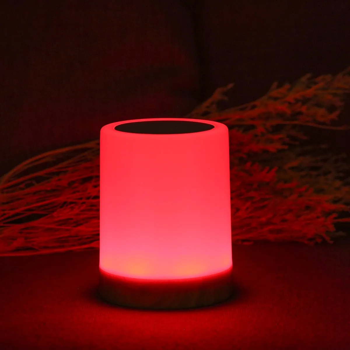 USB Rechargeable Touching Control Bedside Light Dimmable Table Lamp Warm White & RGB Night Light